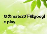 华为mate20下载google play