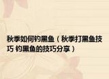 秋季如何钓黑鱼（秋季打黑鱼技巧 钓黑鱼的技巧分享）