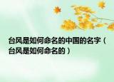 台风是如何命名的中国的名字（台风是如何命名的）