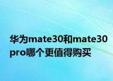 华为mate30和mate30pro哪个更值得购买