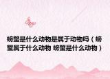 螃蟹是什么动物是属于动物吗（螃蟹属于什么动物 螃蟹是什么动物）