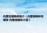 内蒙古胡杨林简介（内蒙胡杨林在哪里 内蒙胡杨林介绍）