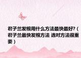 君子兰发根用什么方法最快最好?（君子兰最快发根方法 选对方法很重要）