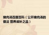 猪肉汤百度百科（公开猪肉汤的做法 营养滋补之品）