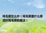 鸡毛菜怎么炒（鸡毛菜是什么菜 清炒鸡毛菜的做法）
