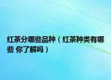 红茶分哪些品种（红茶种类有哪些 你了解吗）