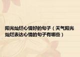 阳光灿烂心情好的句子（天气阳光灿烂表达心情的句子有哪些）