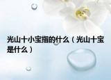 光山十小宝指的什么（光山十宝是什么）