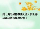田七海马汤的做法大全（田七海马汤功效与作用介绍）