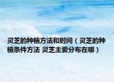 灵芝的种植方法和时间（灵芝的种植条件方法 灵芝主要分布在哪）