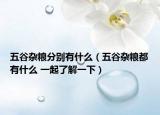 五谷杂粮分别有什么（五谷杂粮都有什么 一起了解一下）
