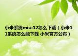 小米系统miui12怎么下载（小米11系统怎么能下载 小米官方公布）