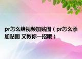 pr怎么给视频加贴图（pr怎么添加贴图 又教你一招哦）
