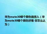 华为mate30哪个颜色值得入（华为mate30哪个颜色好看 你怎么认为）