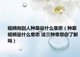 视频向别人种草是什么意思（种草视频是什么意思 这三种意思你了解吗）