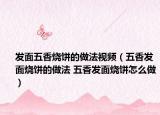 发面五香烧饼的做法视频（五香发面烧饼的做法 五香发面烧饼怎么做）