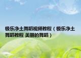 极乐净土舞蹈视频教程（极乐净土舞蹈教程 美丽的舞蹈）