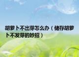 胡萝卜不出芽怎么办（储存胡萝卜不发芽的妙招）