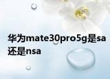 华为mate30pro5g是sa还是nsa
