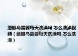 绣眼鸟需要每天洗澡吗 怎么洗澡视频（绣眼鸟需要每天洗澡吗 怎么洗澡）