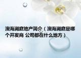 澳海澜庭地产简介（澳海澜庭是哪个开发商 公司都在什么地方）