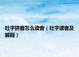 吐字拼音怎么读音（吐字读音及解释）
