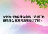 梦到在打狗是什么意思（梦见打狗预示什么 这几种意思提供了解）