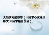 大随求咒的意思（大随求心咒咒语原文 大随求是什么佛）
