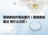 莱胡参的作用及图片（莱胡参的做法 有什么功效）