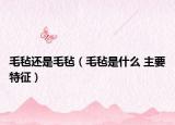 毛毡还是毛毡（毛毡是什么 主要特征）