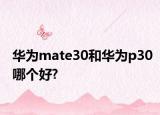 华为mate30和华为p30哪个好?