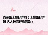 热带鱼米奇好养吗（米奇鱼好养吗 达人教你轻松养鱼）