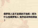 俄罗斯人是不是真的不怕熊（熊为什么怕俄罗斯人 竟然是这样的理由）