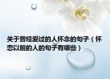 关于曾经爱过的人怀念的句子（怀恋以前的人的句子有哪些）