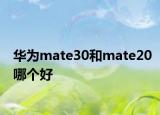 华为mate30和mate20哪个好