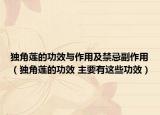 独角莲的功效与作用及禁忌副作用（独角莲的功效 主要有这些功效）