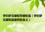 孕妇梦见被蛇咬被蛇追（孕妇梦见被蛇追着咬的含义）