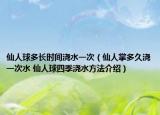 仙人球多长时间浇水一次（仙人掌多久浇一次水 仙人球四季浇水方法介绍）