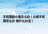 不吃菜的小孩怎么办（小孩不吃菜怎么办 有什么办法）