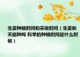 生姜种植时间和采收时间（生姜秋天能种吗 科学的种植时间是什么时候）
