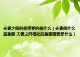 夫妻之间的最重要的是什么（夫妻间什么最重要 夫妻之间相处的重要因素是什么）