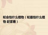 蛇会怕什么植物（蛇最怕什么植物 赶紧看）