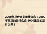 2000年是什么龙年什么命（2000年属龙的是什么命 2000出生的是什么命）
