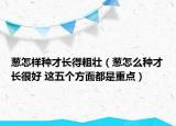 葱怎样种才长得粗壮（葱怎么种才长很好 这五个方面都是重点）
