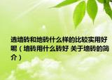 选墙砖和地砖什么样的比较实用好呢（墙砖用什么砖好 关于墙砖的简介）