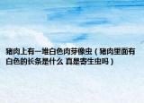 猪肉上有一堆白色肉芽像虫（猪肉里面有白色的长条是什么 真是寄生虫吗）