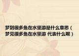 梦到很多鱼在水里游是什么意思（梦见很多鱼在水里游 代表什么呢）