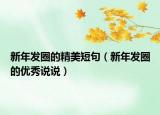 新年发圈的精美短句（新年发圈的优秀说说）