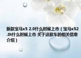 新款宝马x5 2.0什么时候上市（宝马x52.0t什么时候上市 关于这款车的相关信息介绍）
