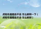 虎和牛属相合不合 怎么解释一下（虎和牛属相合不合 怎么解释）